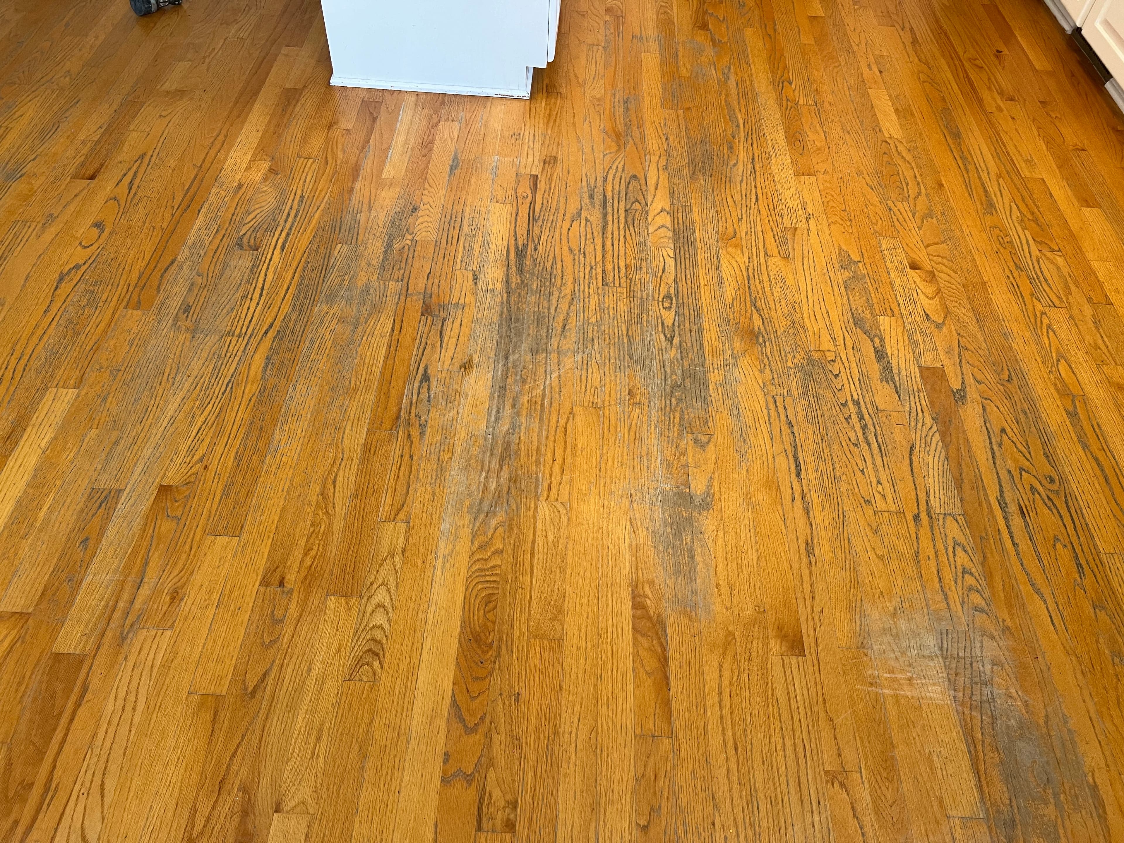 Severely worn red oak floor close-up in Austin Pond Clayton NC, dark contaminated grain channels, finish worn through in traffic areas