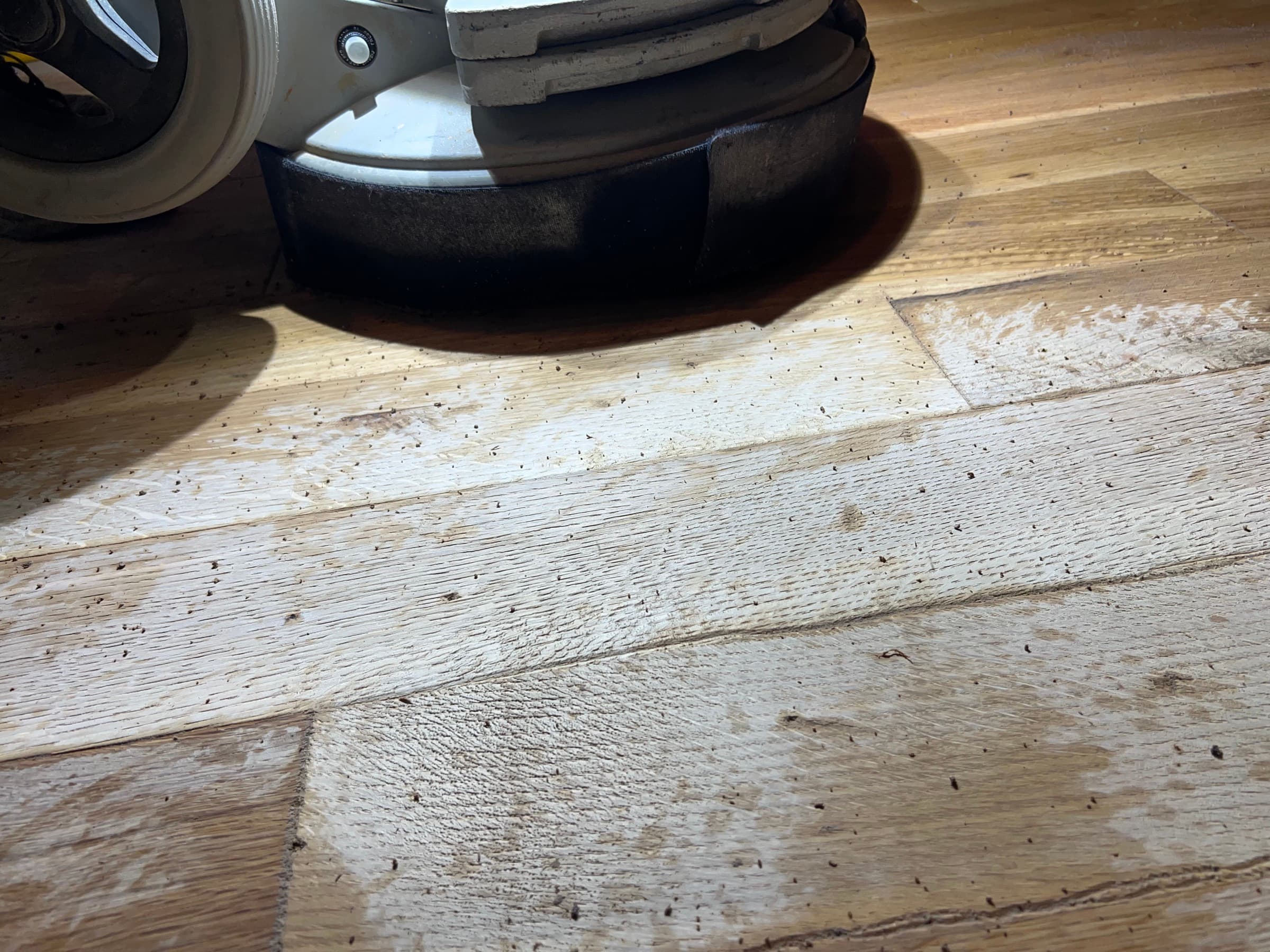 Bona PowerDrive planetary sander with wire brush head texturing white oak floors in Wendell NC